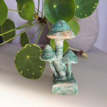 Afbeelding in Gallery-weergave laden, Serpentijnpaddenstoeltje - Insight Stones