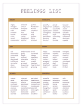 Afbeelding in Gallery-weergave laden, Feelings worksheets - English - Insight Stones