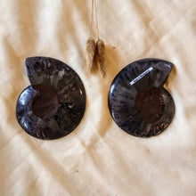 Afbeelding in Gallery-weergave laden, Gespleten ammoniet - Insight Stones