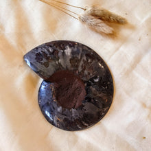 Afbeelding in Gallery-weergave laden, Gespleten ammoniet - Insight Stones