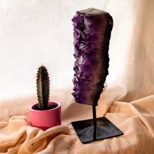Afbeelding in Gallery-weergave laden, Grote A kwaliteit amethist op standaard - Insight Stones