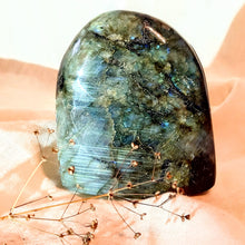 Afbeelding in Gallery-weergave laden, Kleine labradorietsculptuur met strepen - Insight Stones