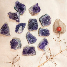 Afbeelding in Gallery-weergave laden, Mini Amethistclusters - Insight Stones