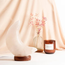 Afbeelding in Gallery-weergave laden, Witte grote zoutsteen maan lamp - Insight Stones