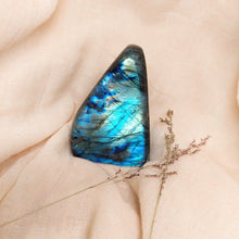 Charger l&#39;image dans la galerie, Kleine Blauwe Labradorietsculptuur - Insight Stones